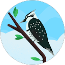 Dev virk profile picture