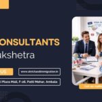 Best Visa Consultants in Kurukshetra